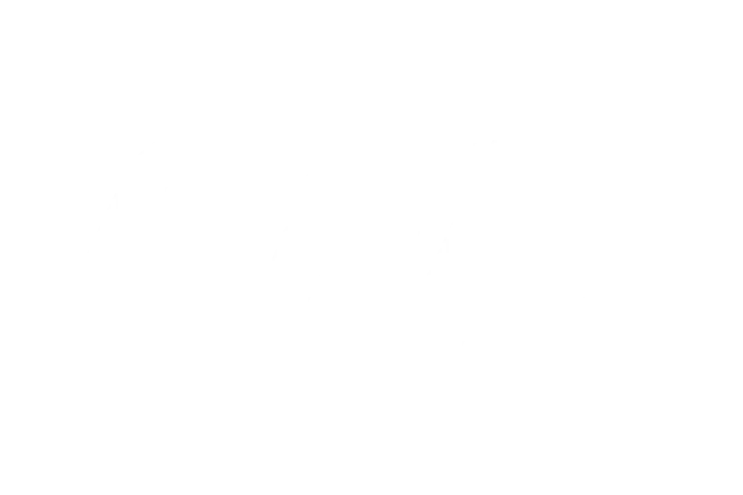 Elite Fight Universe